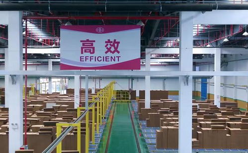 65后包裝巨頭老板,曾叱咤江浙金融圈,融資超15億,今暴雷了