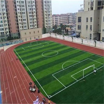 巴中 運動場人工草坪 假草 鋪裝