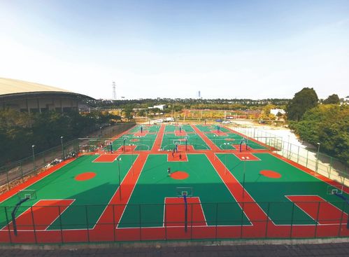 廣州柏奧 勇立潮頭唱大歌