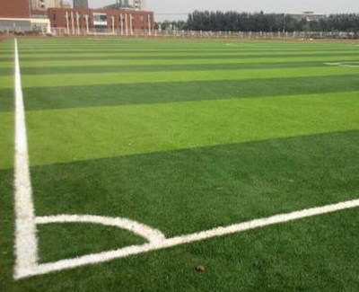 安徽人造草坪-人造草坪哪家好-合肥乘林(推薦商家)