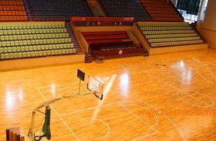 籃球木地板 實木運動地板 籃球館木地板生產廠家,籃球木地板 實木運動地板 籃球館木地板生產廠家生產廠家,籃球木地板 實木運動地板 籃球館木地板生產廠家價格