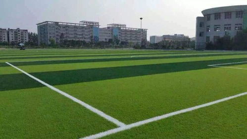 a昆明東川景觀人造草坪廠家推薦 值得買