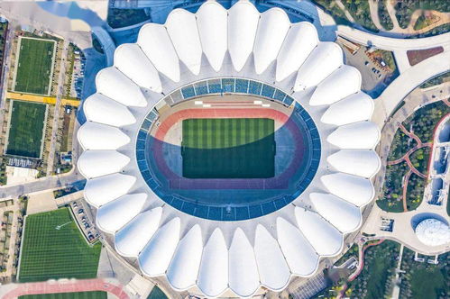 把6萬個座位擦洗得一塵不染