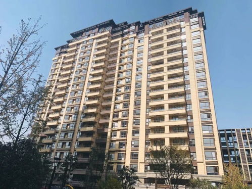 南京精裝現房交付盛況，業主激動難抑，打地鋪共慶新居