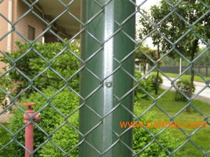 鍍鋅鐵絲網三陽絲網 多圖展示、生產廠家與體育場地鋪裝價格解析