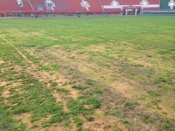 足協監督建業主場整改，工作組實地驗收體育場地鋪裝成果